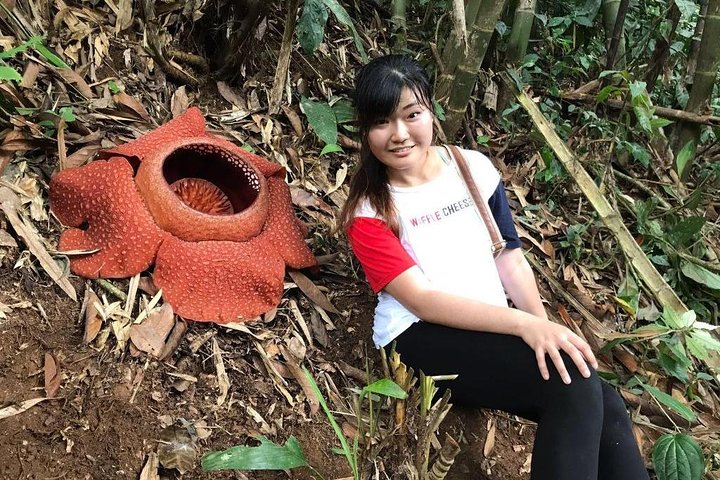 Rafflesia Trekking